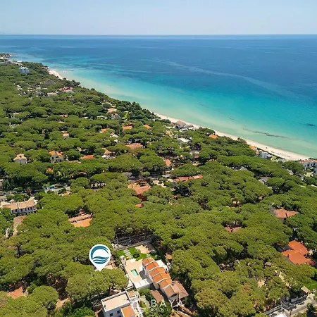 Dolores - 90m To - Perla Marina